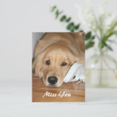 Golden Retriever mit Shoe Miss You Postkarte (Stehend Vorderseite)