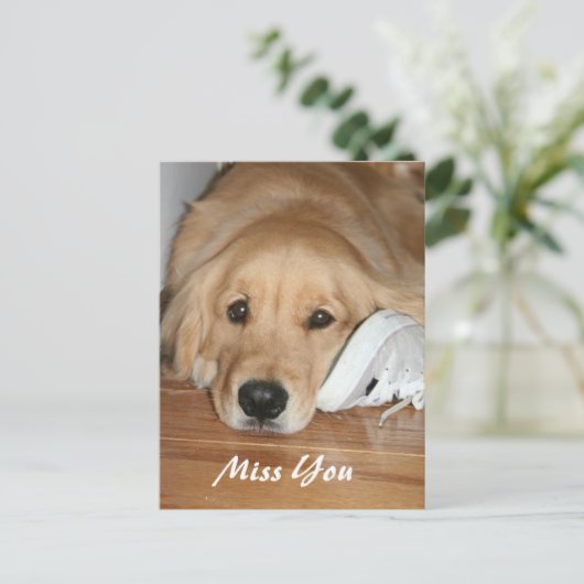 Golden Retriever mit Shoe Miss You Postkarte (Stehend Vorderseite)