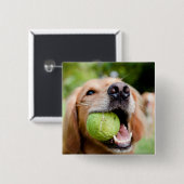 Golden Retriever mit Tennisball Button (Vorne & Hinten)