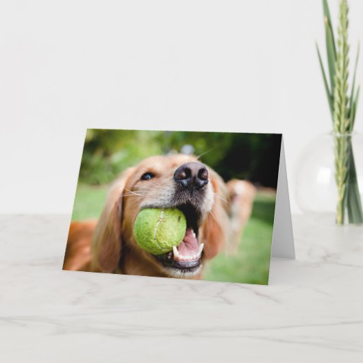 Golden Retriever mit Tennisball Karte (Vorderseite)