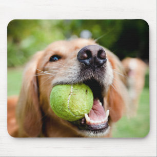 Golden Retriever mit Tennisball Mousepad