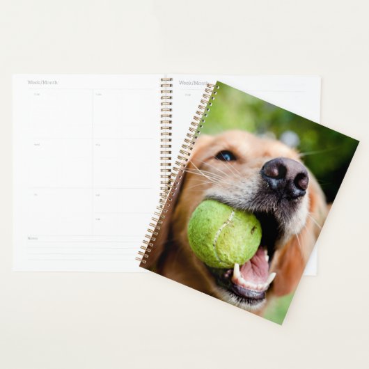 Golden Retriever mit Tennisball Planer (Anzeige)