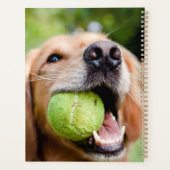 Golden Retriever mit Tennisball Planer (Rückseite)