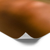 Golden Retriever mit Tennisball Poster (Ecke)