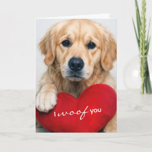 Golden Retriever mit Valentinsherzkissen Karte