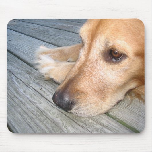 Golden retriever Mousepad (Vorne)