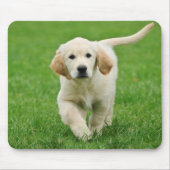 Golden Retriever Mousepad (Vorne)