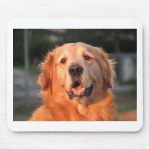 Golden Retriever Mousepad