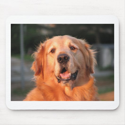 Golden Retriever Mousepad (Vorne)