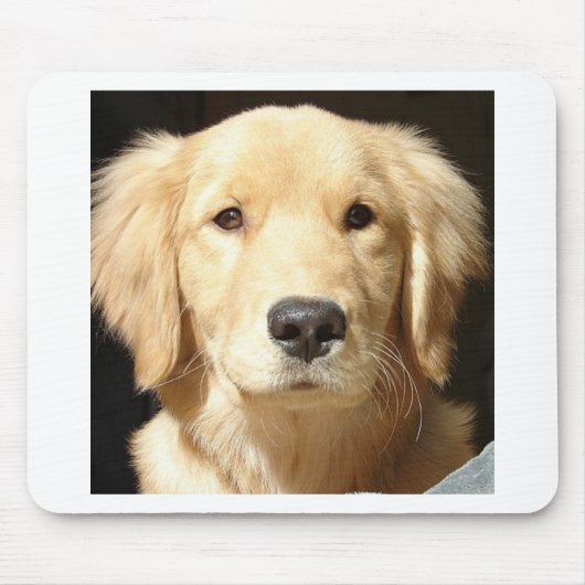 Golden Retriever Mousepad (Vorne)