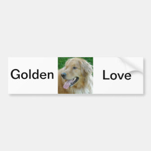 Golden Retriever Nah Autoaufkleber