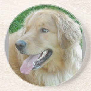 Golden Retriever Nah Getränkeuntersetzer