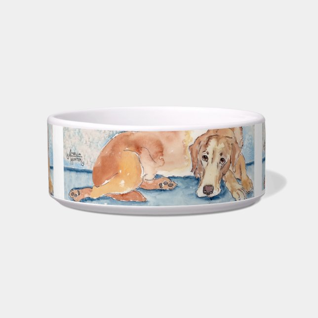 Golden retriever napf (Vorderseite)