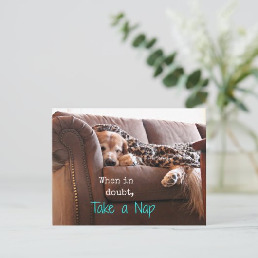 Golden Retriever Nehmen Sie ein Nickerchen Postkarte (Stehend Vorderseite)