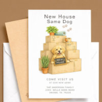 Golden Retriever Neues Haus Gleicher Hund Umzugska