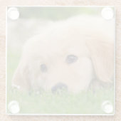 Golden Retriever Niedlich Hund Welpe Dream - Glasuntersetzer (Rückseite)