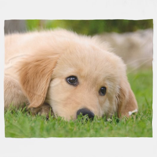 Golden Retriever Niedlich Welppy Dreaming Dog Port Fleecedecke (Vorderseite (Horizontal))