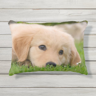 Golden Retriever Niedlich Welppy Dreams Dog Head F Kissen Für Draußen