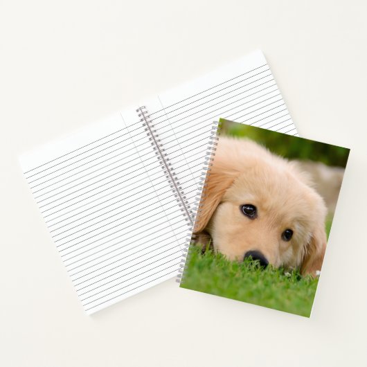 Golden Retriever Niedlich Welppy Dreams Dog Head F Notizblock (Innenseite)