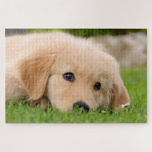 Golden Retriever Niedliche Welpenträume Puzzle (Horizontal)