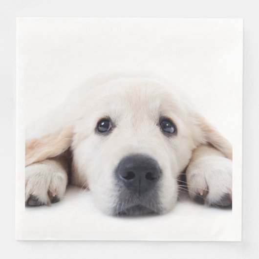 Golden Retriever niedlicher Welpe liegt hinunter Serviette (Vorderseite)