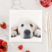 Golden Retriever niedlicher Welpe liegt hinunter Serviette (Beispiel)