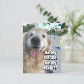 Golden Retriever Not My Circus polnischen Sprichwo Postkarte (Stehend Vorderseite)