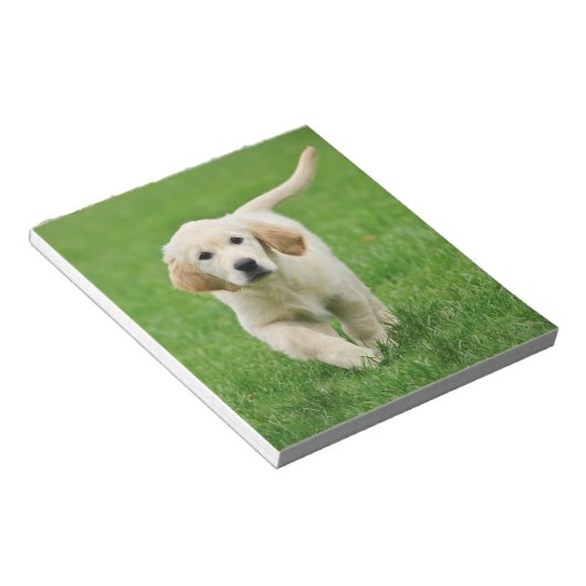 Golden Retriever Notizblock (angewinkelt)