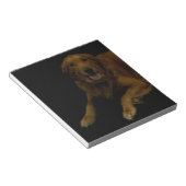 Golden Retriever Notizblock (angewinkelt)