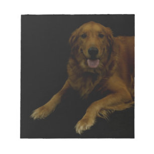 Golden retriever notizblock