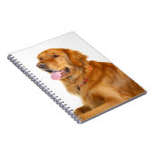 Golden Retriever Notizblock (Rechte Seite)