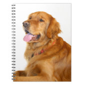 Golden Retriever Notizblock (Vorderseite)