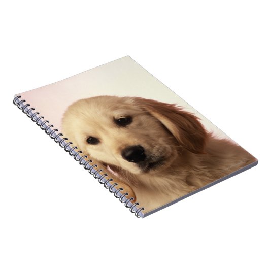 Golden Retriever Notizblock (Rechte Seite)