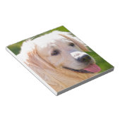 Golden Retriever Notizblock (angewinkelt)