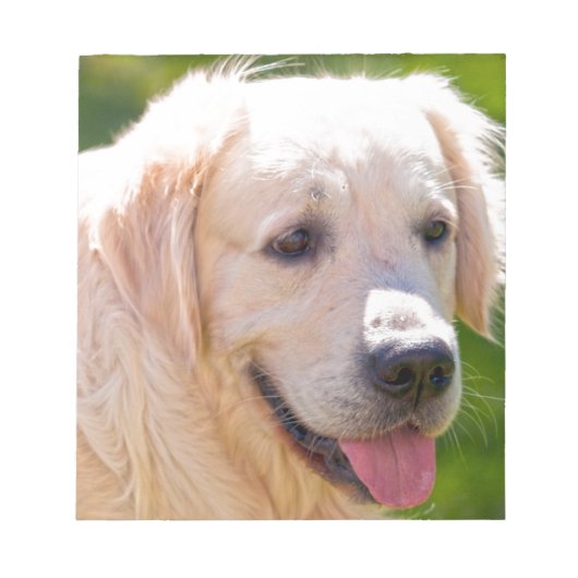 Golden Retriever Notizblock (Vorderseite)