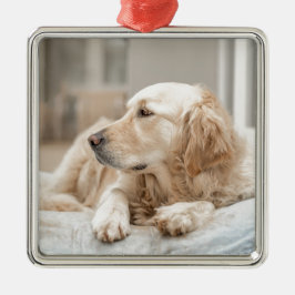 Golden Retriever Ornament Aus Metall