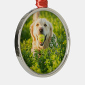 Golden Retriever Ornament Aus Metall (Rechts)