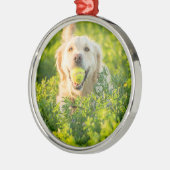 Golden Retriever Ornament Aus Metall (Links)