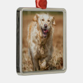 Golden Retriever Ornament Aus Metall (Rechts)