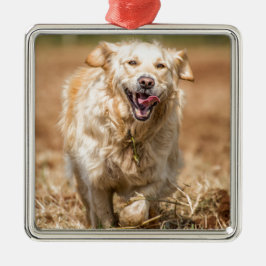 Golden Retriever Ornament Aus Metall