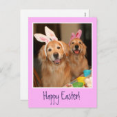 Golden Retriever Ostersonne Feiertagspostkarte (Vorne/Hinten)