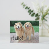 Golden Retriever Outdoor Hallo Postkarte (Stehend Vorderseite)
