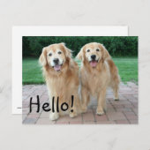 Golden Retriever Outdoor Hallo Postkarte (Vorne/Hinten)