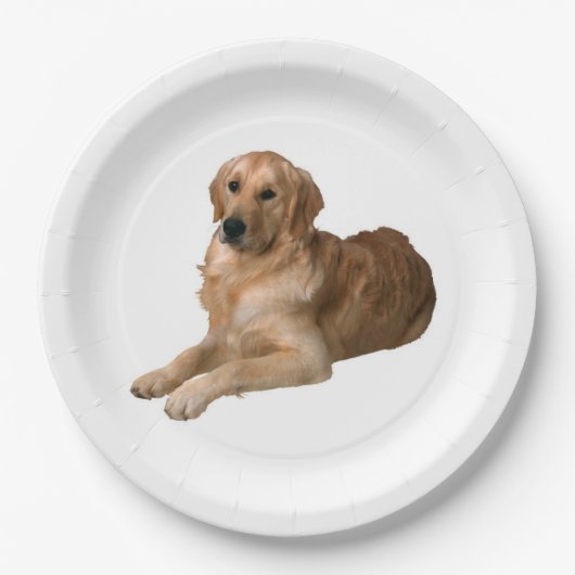 Golden Retriever Paper Plate Pappteller (Vorderseite)