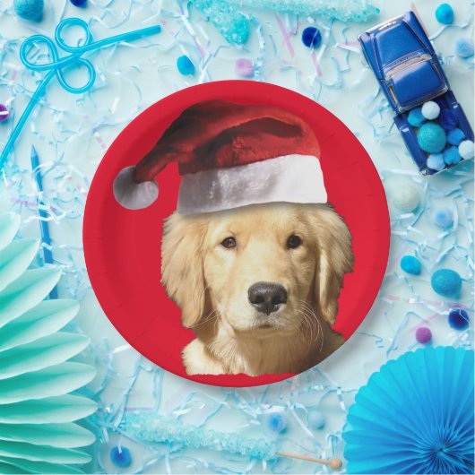 Golden Retriever Pappteller (Party)