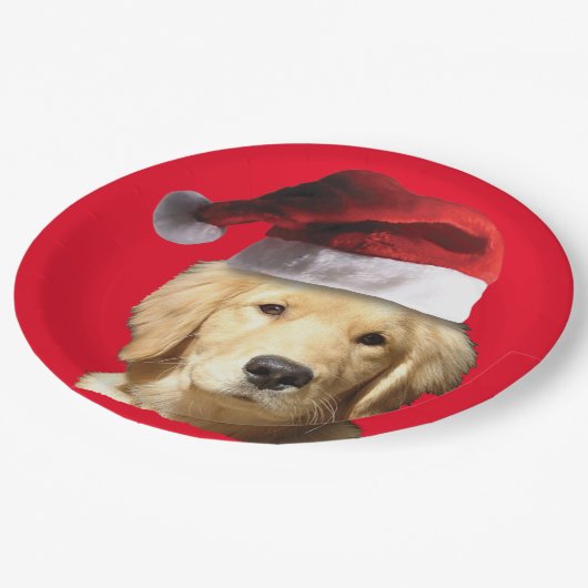 Golden Retriever Pappteller (Schrägansicht)