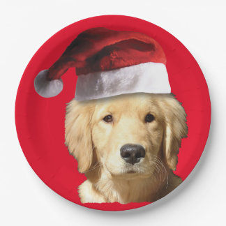 Golden Retriever Pappteller
