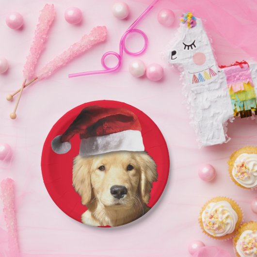 Golden Retriever Pappteller (Party)