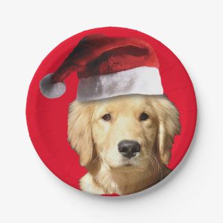 Golden Retriever Pappteller