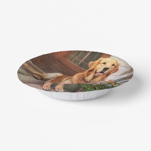 Golden Retriever Pappteller (Gewinkelt)